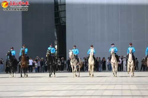 式自驾游阅尽自由的故事J9国际网站一场沉浸(图2)