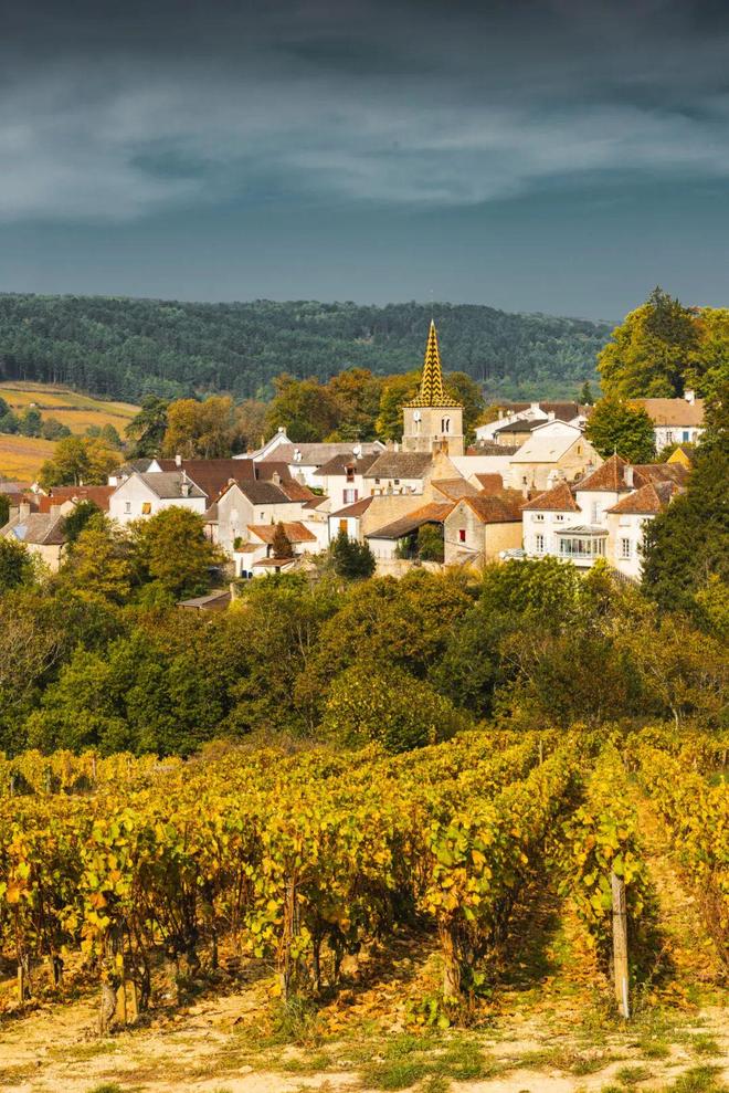 天旅行的灵感清单请查收九游会J9入口法国秋(图20) 天旅行的灵感清单请查收九游会J9入口法国秋(图20)